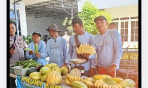 IMG_20260713_184822